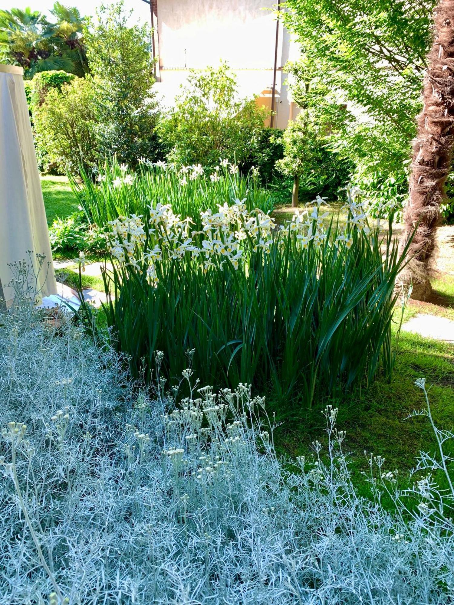Relax Hotel Borgosesia Exterior photo
